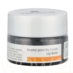 Dr.hauschka Lip Balm 4.5 ml