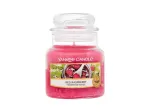 Yankee Candle Red Raspberry 104 ml