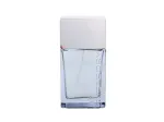 Superdry Steel Eau de Cologne 75 ml Tester