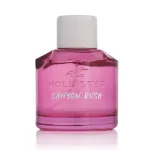 Hollister Canyon Rush Eau De Parfum 100 ml