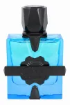 French avenue Aromatix Magnetiq Parfum 100 ml