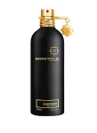 Montale Oudyssee Eau De Parfum 100 ml