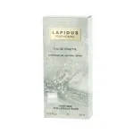Ted Lapidus Lapidus Pour Homme Eau De Toilette 100 ml