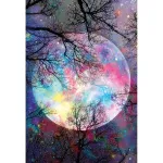 Maalimine numbrite j&auml;rgi 60 &times; 90 cm &ndash; The Moonlight (MMT001e)