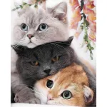 5D teemantmaal 40 &times; 50 cm &ndash; Three Kittens (LG299e)
