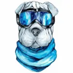5D teemantmaal 20 &times; 30 cm &ndash; Sharpei (LC013e)