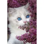 5D teemantmaal 20 &times; 30 cm &ndash; Hiding in Lilacs (LC056e)