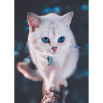 5D teemantmaal 30 &times; 40 cm &ndash; Blue-eyed Fluffy Kitten (LE126e)