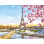 5D teemantmaal 40 &times; 50 cm &ndash; Paris in Blossom (LG194e)
