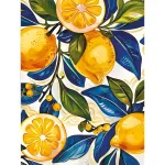 5D teemantmaal 30 &times; 40 cm &ndash; Slice of Summer (LE165e)