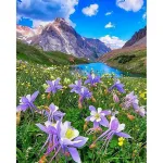 5D teemantmaal 40 &times; 50 cm &ndash; Blooming Meadow (LG302e)