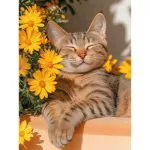 5D teemantmaal 30 &times; 40 cm &ndash; Cat&rsquo;s Noon (LE179e)