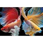 5D teemantmaal 20 &times; 30 cm &ndash; Wish Fulfilment (LC052e)