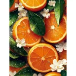 5D teemantmaal 30 &times; 40 cm &ndash; Juicy (LE161e)