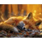 5D teemantmaal 40 &times; 50 cm &ndash; Dreaming Foxling (LG395e)