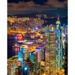 Maalimine numbrite j&auml;rgi 40 &times; 50 cm &ndash; Night Hong Kong (MG2552e)