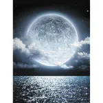 5D teemantmaal 30 &times; 40 cm &ndash; Charming Full Moon (LE132e)