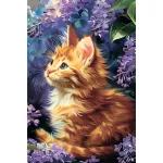 5D teemantmaal 20 &times; 30 cm &ndash; Ginger Kitten (LC064e)