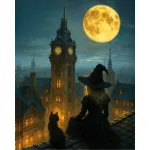 5D teemantmaal 40 &times; 50 cm &ndash; Moon Spell (LG401e)