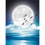 5D teemantmaal 30 &times; 40 cm &ndash; In the Moonlight (LE141e)