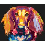 5D teemantmaal 30 &times; 40 cm &ndash; Through the eyes of a Dachshund (LE138e)