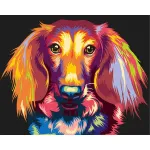 Maalimine numbrite j&auml;rgi 30 &times; 40 cm &ndash; Through the eyes of a dachshund (ME1143e)