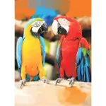 5D teemantmaal 30 &times; 40 cm &ndash; Ara Parrots (LE106e)