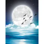 Maalimine numbrite j&auml;rgi 30 &times; 40 cm &ndash; In the moonlight (ME1147e)