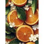 Maalimine numbrite j&auml;rgi 30 &times; 40 cm &ndash; Juicy Sunshine (ME1174e)