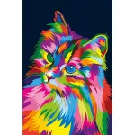 Maalimine numbrite j&auml;rgi 20 &times; 30 cm &ndash; Through the eyes of a cat (MC1116e)