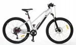 Elektrijalgratas CANULL FERITA+ HD 27,5", 468 Wh