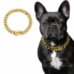 Vastupidav roostevabast terasest koera kaelarihm (bulldogidele, amstaffidele, Cane Corsole)