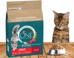 PURINA ONE Sterilcat steriliseeritud kassidele kuivtoit veiselihaga, 1,4 kg