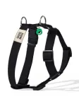 Koera rihmad John Dog Hey Hau Hello, mustad, XS