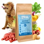 Kuiv koeratoit ZOYA ColdPRO pardiliha, 1 kg, monoproteiin