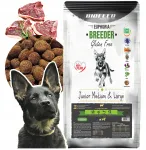 BIOFEED EUPHORIA kuivtoit noortele kutsikatele, lambaliha, 15 kg