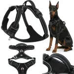 HUGGY DOGGY Shepherd XL tugevad ja mugavad koera rakmed