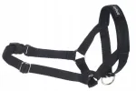 Koera rakmed AMIPLAY Basic, mustad, XXL