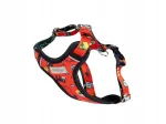 Koera rakmed amiplay Discovery Amik S TravelDog