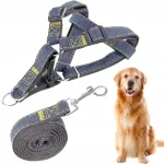 Koera valjad rihmaga PETSTORY, reguleeritavad, L suurus, 35&ndash;55 cm, sinised