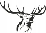 Auto kleebis &bdquo;Deer Head Antlers&ldquo;, 12 x 16,7 cm, l&auml;bipaistev taust
