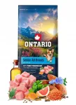 ONTARIO kuivtoit vanematele koertele kalkuni ja maguskartuliga, 12 kg