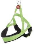 Koera rakmed JK Animals, suurus S, 38&ndash;48 cm