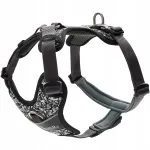Koera rakmed HUNTER DIVO S/M, mustad, ilma surveta, helkuritega