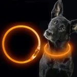 LED-koera kaelarihm ELANOX, USB-laetav, universaalsuurus