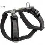 Koera rakmed Hunter Maldon, XS/S, must-hallid
