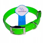 Veekindel PVC koera kaelarihm, 20 mm, reguleeritav, tugev, allergiavastase pandlaga