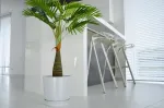 Lillepott Planter21 WHITE l&auml;ikiv