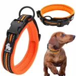Peegeldav koera kaelarihm TRUELove Active, oranž, XXL