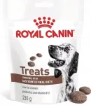 Koerte maiused ROYAL CANIN Gastrointestinal, 230 g